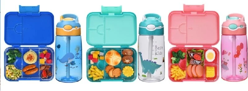 Eco-Friendly Plastic Lunch Box